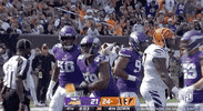 Minnesota Vikings Football GIF by NFL