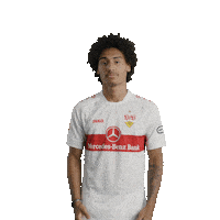 Sorry Not Sorry What Sticker by VfB Stuttgart