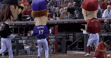 randy johnson universe GIF