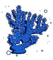 ellyzhn coral koralle ellyzhn Sticker