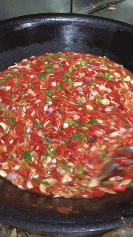 GIF by Our Second Nature