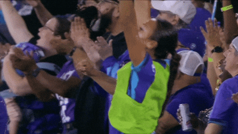 2025 GIF by National Women's Soccer League