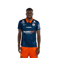 Go Come On Sticker by MHSC