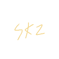 0727ws skz straykids ws 2707ws Sticker