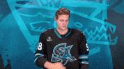 Brush Off San Jose GIF by San Jose Barracuda