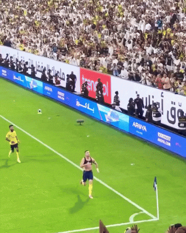 Ronaldo Celebration GIF