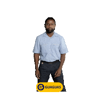 GuaguasMunicipales dance yeah up baile Sticker