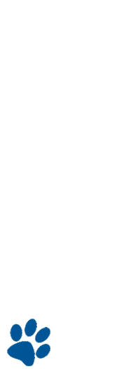 Des Moines Dog Sticker by Drake University