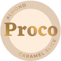 Almond Caramel Slice Sticker by Proco Balls