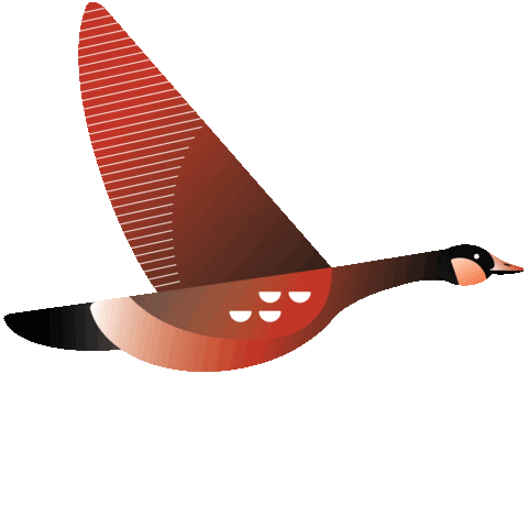 Bird Flying Sticker by Foundry BC