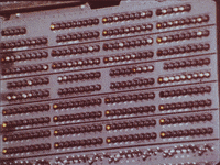 Vintage Calculating GIF by U.S. National Archives