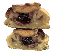 bigfatcookie sweet chocolate dessert cookie Sticker