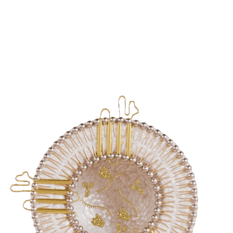 Platedskinscience giphyupload plated plated skin science plated skin Sticker