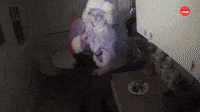 The Try Guys Break Into A House