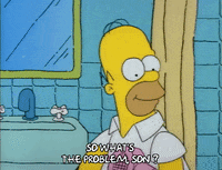 Season 1 GIF by The Simpsons