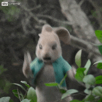 can't watch peter rabbit GIF by Sky
