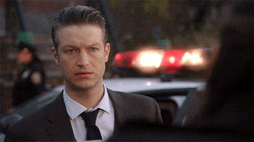 Season 17 Nbc GIF by Law & Order