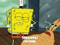 season 5 GIF by SpongeBob SquarePants