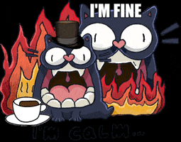 Dwarf-Factory cat fire cats chill GIF