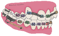 Orthodontics Brackets Sticker