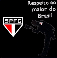 Sao Paulo GIF