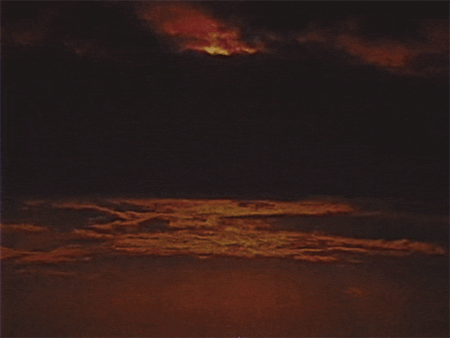 vintage vhs GIF by rotomangler