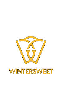 Winter Skating Sticker by Wheeladdict
