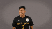 Division Ii Soccer GIF by Cal State LA Golden Eagles