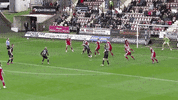 officialdafc football goal volley screamer GIF