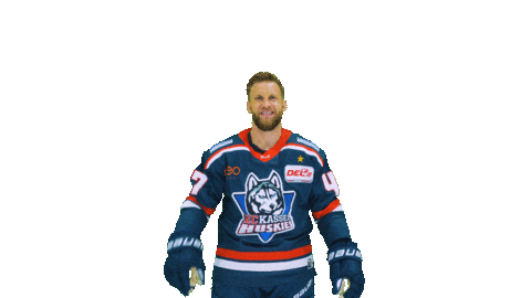 Tor Sticker by EC Kassel Huskies