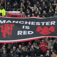 Old Trafford Manc GIF by Manchester United
