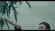 Butterfly Benee GIF by Johnny Orlando