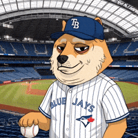 Confused Blue Jays GIF by Doge Pound