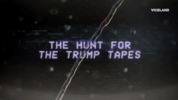 viceland GIF by THE HUNT FOR THE TRUMP TAPES