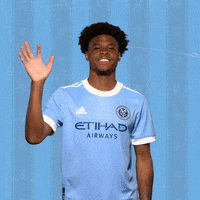 New York City Fc Reaction GIF by NYCFC