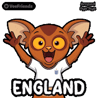 Happy World Cup Sticker by VeeFriends