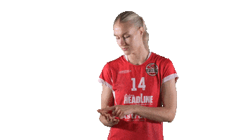Sport Volleyball Sticker by LP Viesti