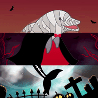 halloween GIF by Dolphin Discovery