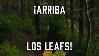 ¡Arriba los Leafs!