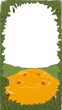 Summer Beer Sticker by Cerveza Patagonia