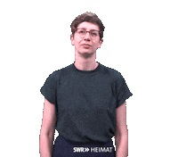 Pointing Swipe Up Sticker by SWR Heimat Rheinland-Pfalz