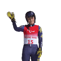 Paralympic Games Sticker by International Paralympic Committee
