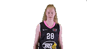 Basketball Hoops Sticker by Basket_fi