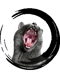 ekekeklunagarcia cat angry crazy cats Sticker