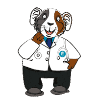 Cuy Sticker by Medical Audicion