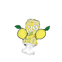 Festival 여름 Sticker