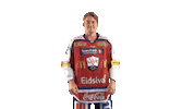 Lillehammerik hockey norway gameday icehockey Sticker