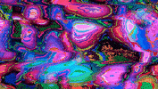 GIF by Leo Pyrata