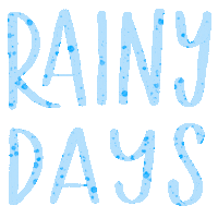 Rainy Day Rain Sticker