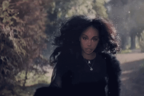 Supermodel GIF by SZA